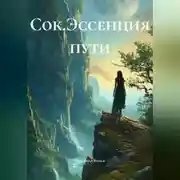 Постер книги Сок.Эссенция пути