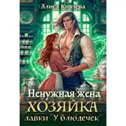 Постер книги Ненужная жена. Хозяйка лавки «У блюдечек»