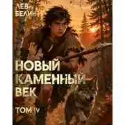 Постер книги Новый каменный век. Том IV
