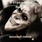 Постер книги В отражении бытия