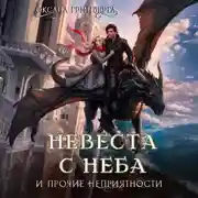 Постер книги Невеста с неба и прочие неприятности