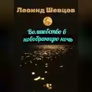 Постер книги Волшебство в новобрачную ночь