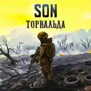 Постер книги Son Торвальда