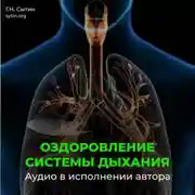 Постер книги Оздоровление омоложение дыхательной системы