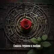 Постер книги Сквозь тернии к любви