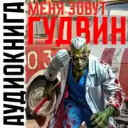 Постер книги Меня зовут Гудвин