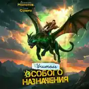 Постер книги Учитель Особого Назначения. Том 9