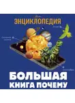 Андрей Мерников - Большая книга почему