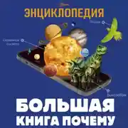 Постер книги Большая книга почему
