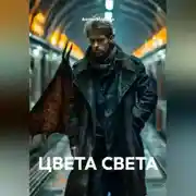 Постер книги ЦВЕТА СВЕТА