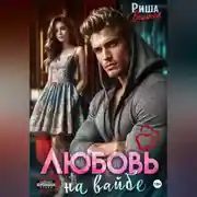 Постер книги Любовь на вайбе