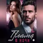 Постер книги Пламя в ночи