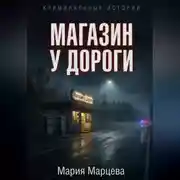 Постер книги Криминальные истории. Магазин у дороги