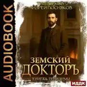 Постер книги Земский докторъ. Книга 6. Тени зимы