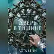 Постер книги Зеркальный переплёт
