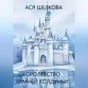 Постер книги Королевство Зимней Колдуньи