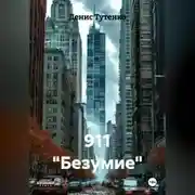 Постер книги 911 "Безумие"