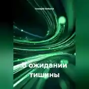 Постер книги В ожидании тишины