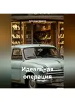 Александр Шарапов - Идеальная операция