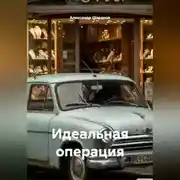 Постер книги Идеальная операция