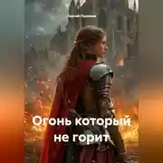 Постер книги Огонь который не горит
