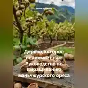 Постер книги Дерево, которое переживет нас: Руководство по выращиванию маньчжурского ореха