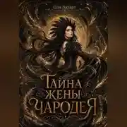 Постер книги Тайна жены чародея