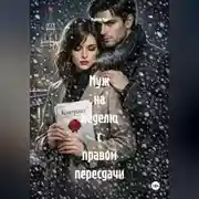 Постер книги Муж на неделю с правом пересдачи