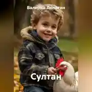 Постер книги Султан