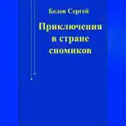Постер книги Приключения в стране сномиков