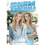 Постер книги Двойная дилемма