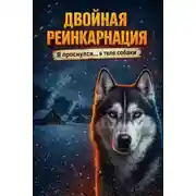 Постер книги Двойная реинкарнация Ерофея Завьялова