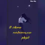 Постер книги В свете падающих звезд