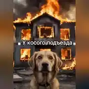 Постер книги У косого подъезда