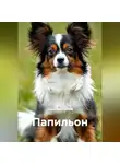 Турист Мартовский - Папильон