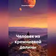 Постер книги Человек из кремниевой долины