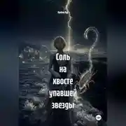 Постер книги Соль на хвосте упавшей звезды