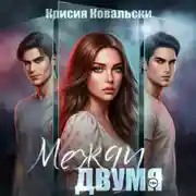 Постер книги Между двумя