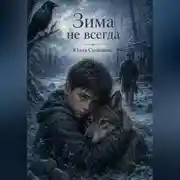 Постер книги Зима не всегда.