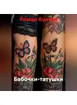 Роман Булгар - Бабочки-татушки