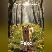 Постер книги Рекс