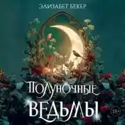 Постер книги Полуночные ведьмы