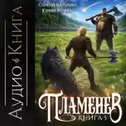 Постер книги Пламенев. Книга V