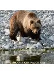 Александр Бурмейстер - Байкальские рассказы