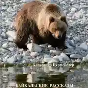 Постер книги Байкальские рассказы