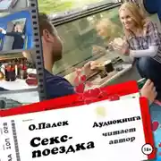 Постер книги Секс-поездка