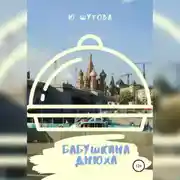 Постер книги Бабушкина днюха