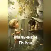 Постер книги Мальчик и Пчела