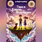 Постер книги Тима и Камень превращения