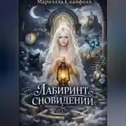 Постер книги Лабиринт сновидений